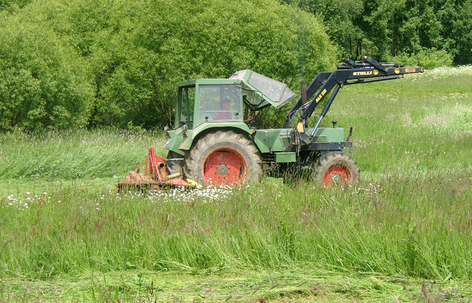 Mahd_Aartal.png desc