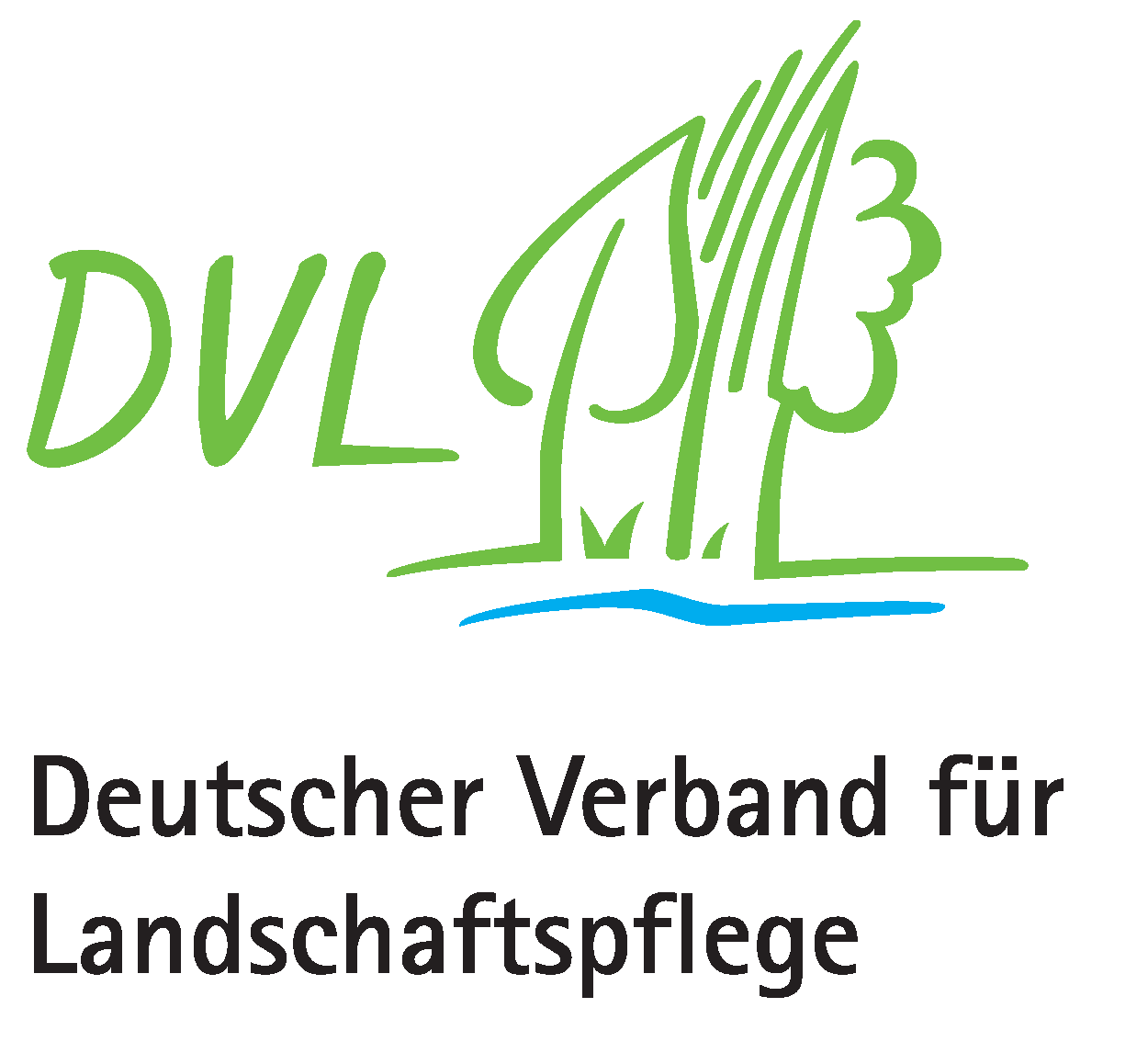 dvllogo